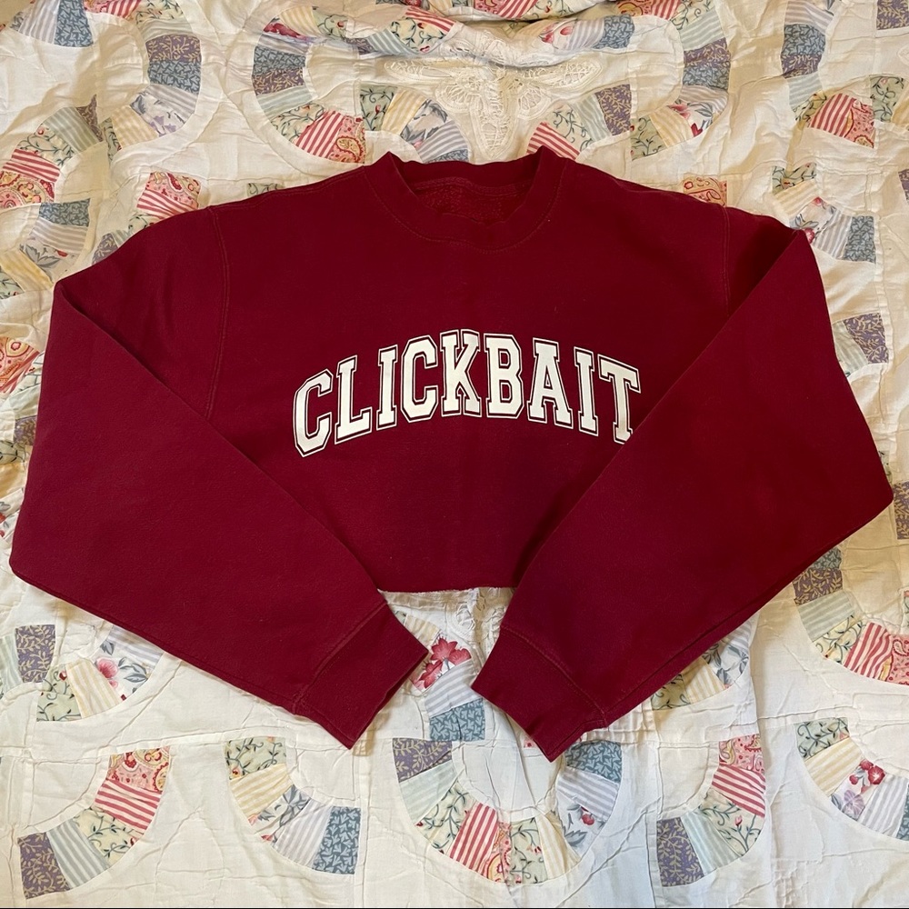 Clickbait Cropped Sweater